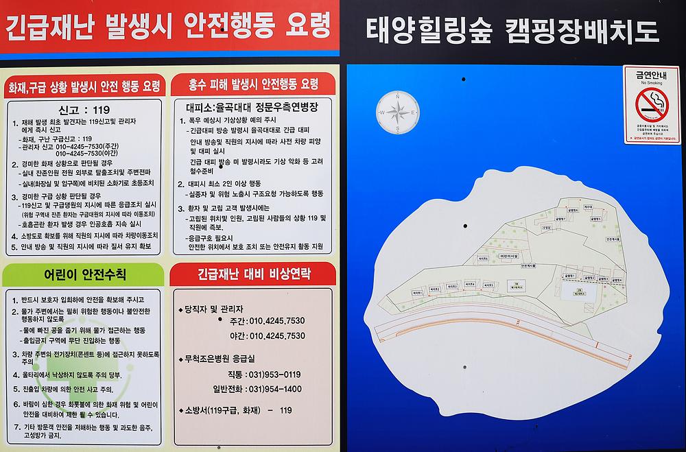 태양힐링숲