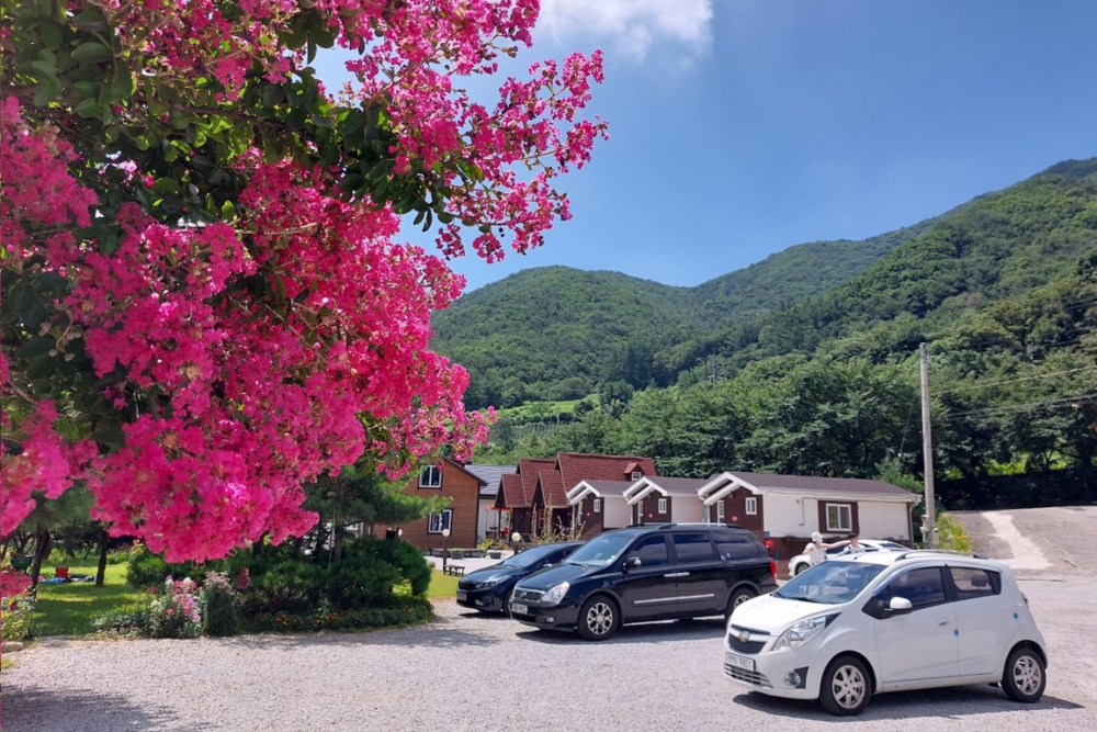 소백산자연누리카라반야영장
