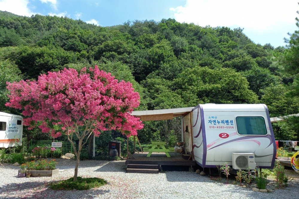 소백산자연누리카라반야영장