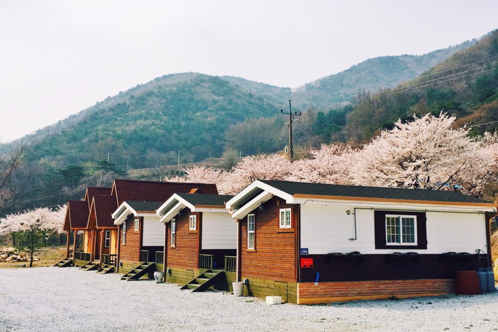 소백산자연누리카라반야영장