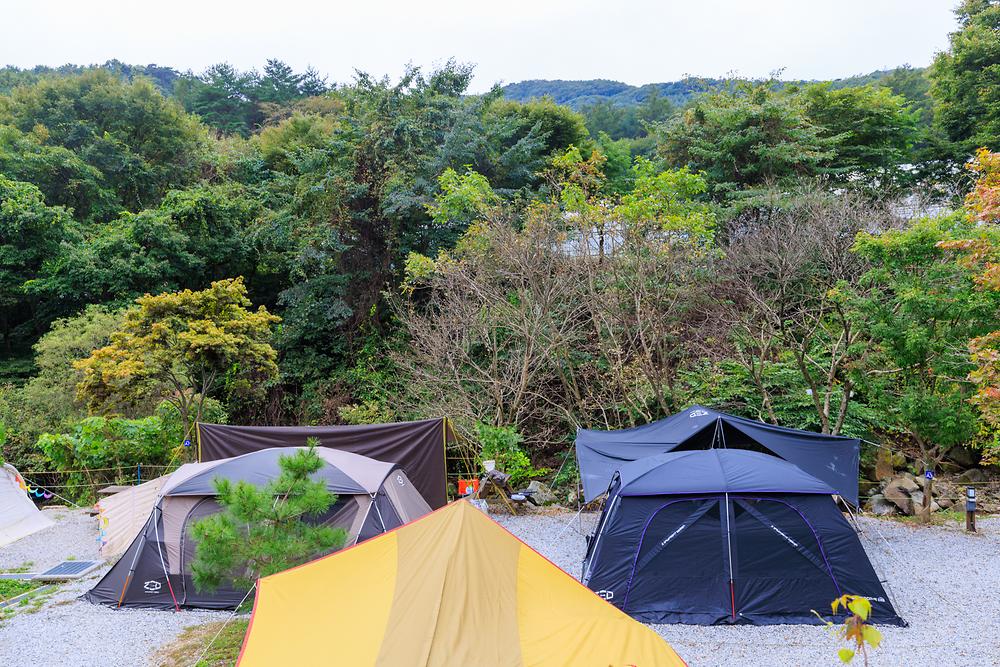 라온밸리캠핑장