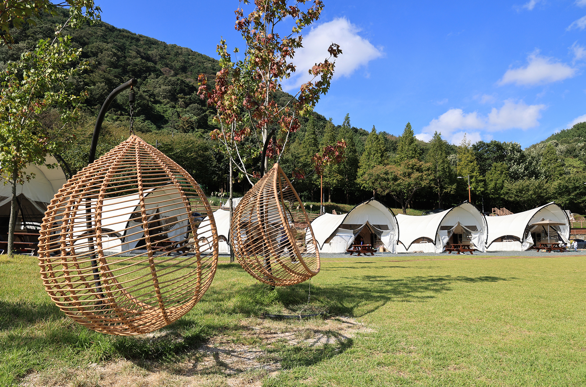 월아산 자연휴양림