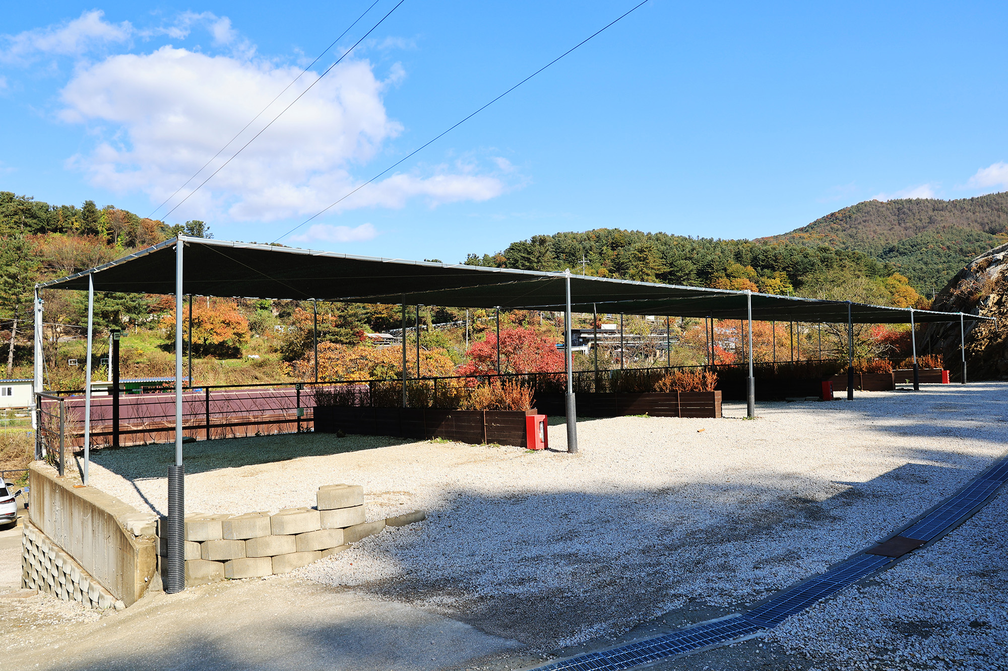 다올숲