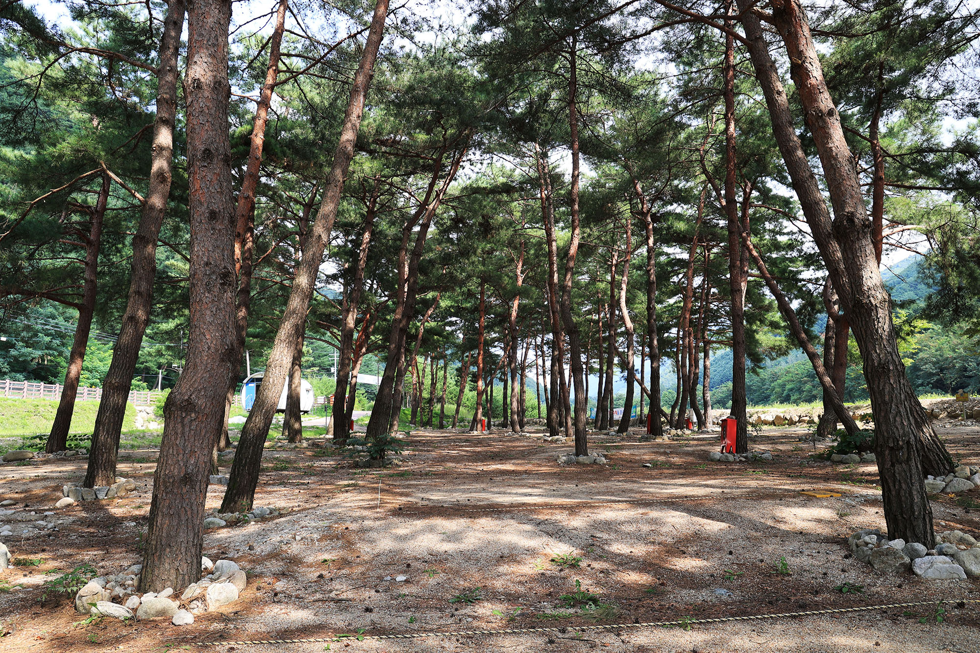 한계산솔밭야영장