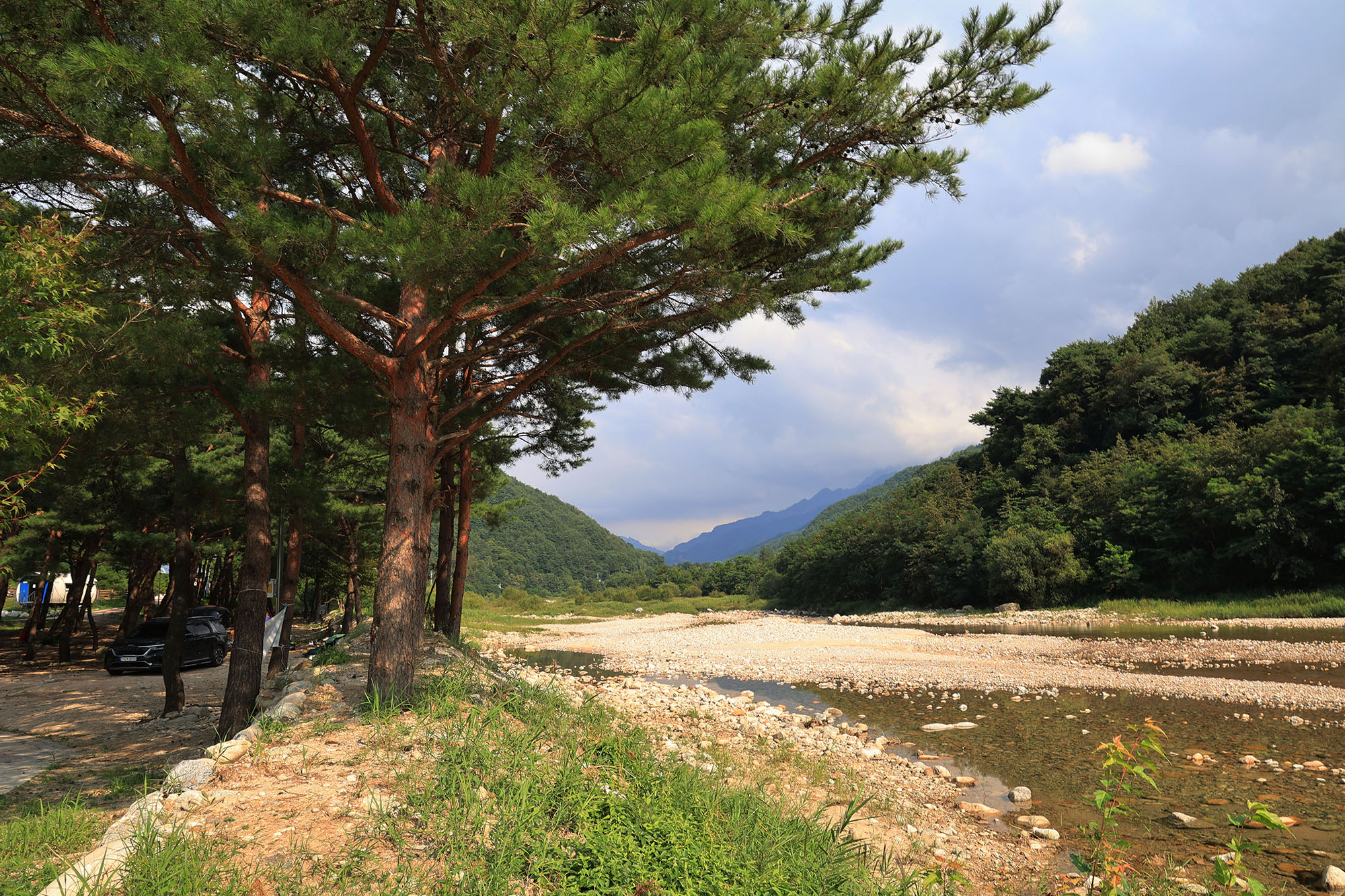 한계산솔밭야영장