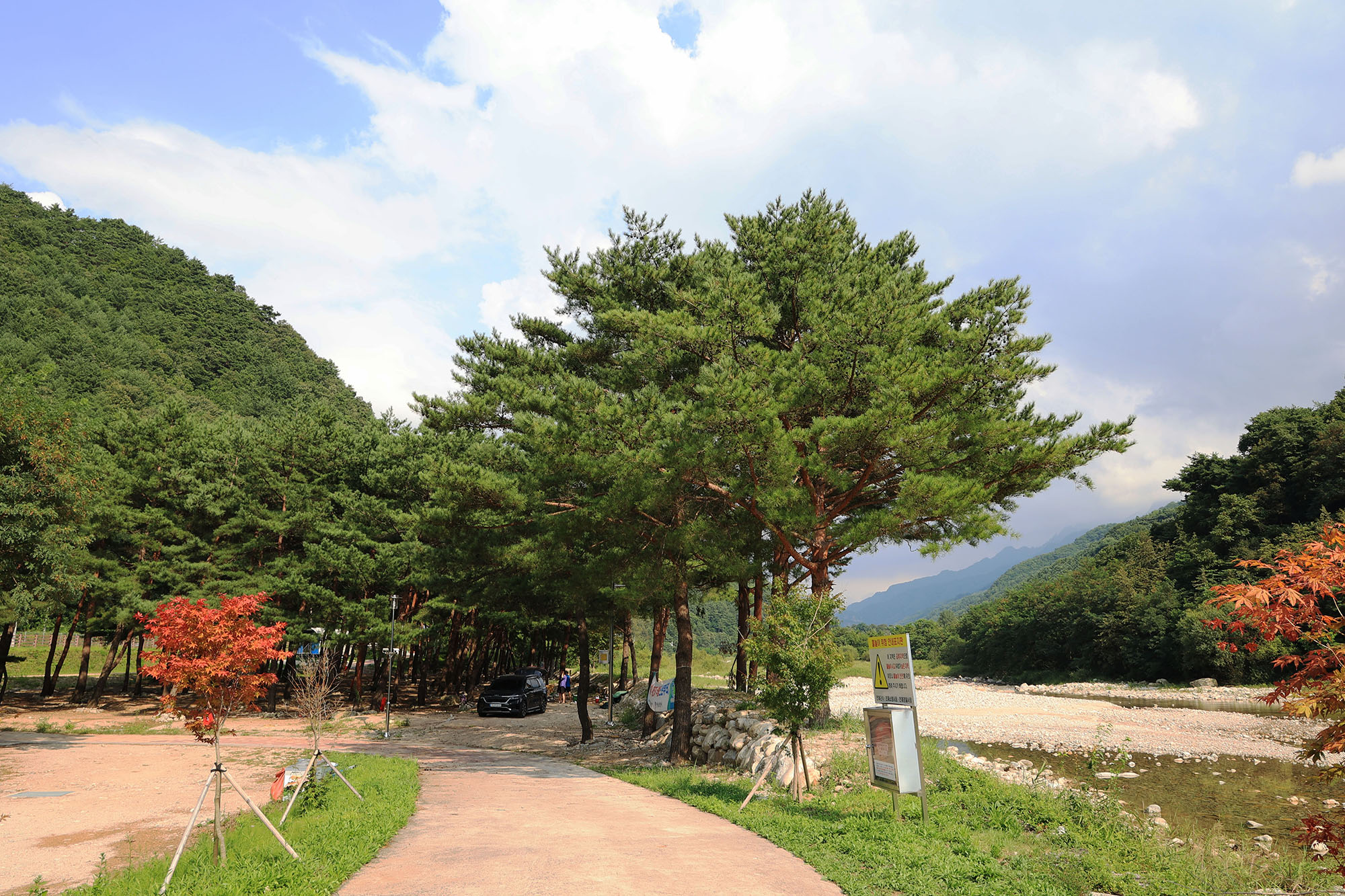 한계산솔밭야영장
