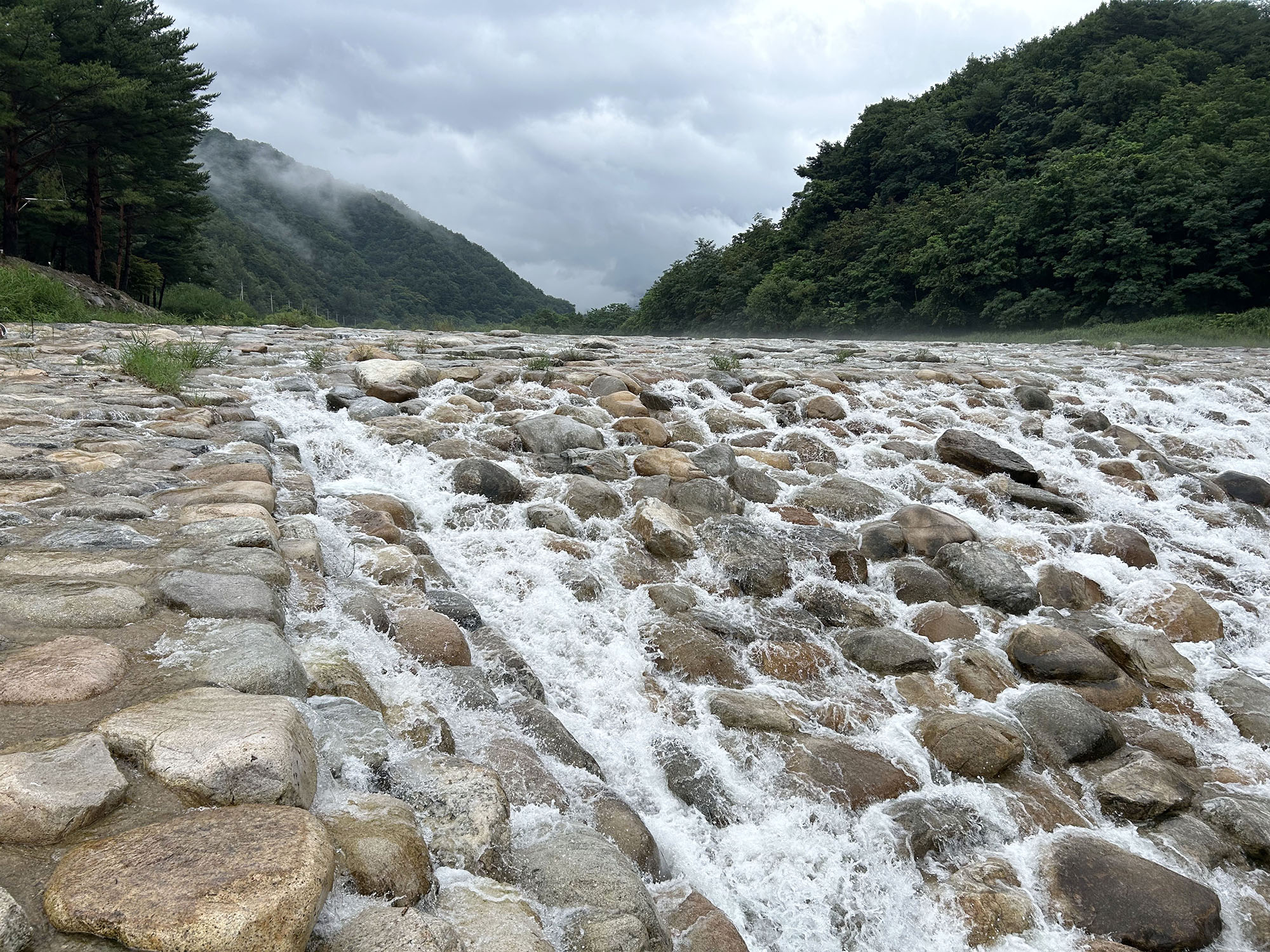 한계산솔밭야영장