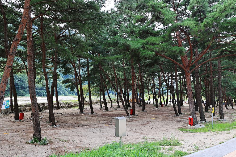 한계2리 솔밭야영장