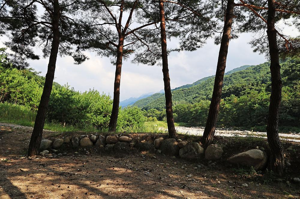 한계2리 솔밭야영장