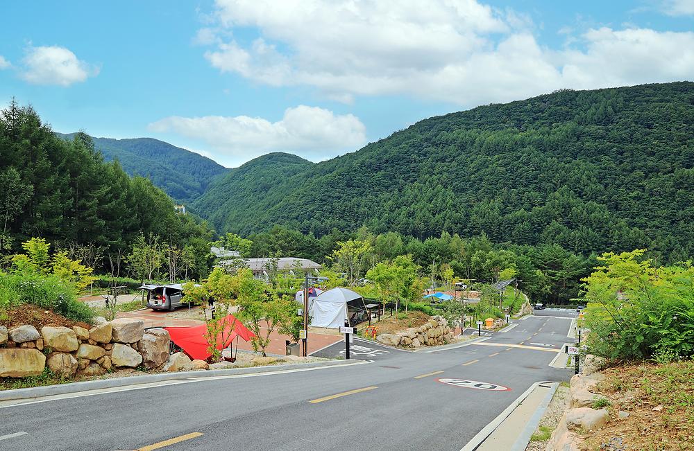 태백산국립공원 소도야영장