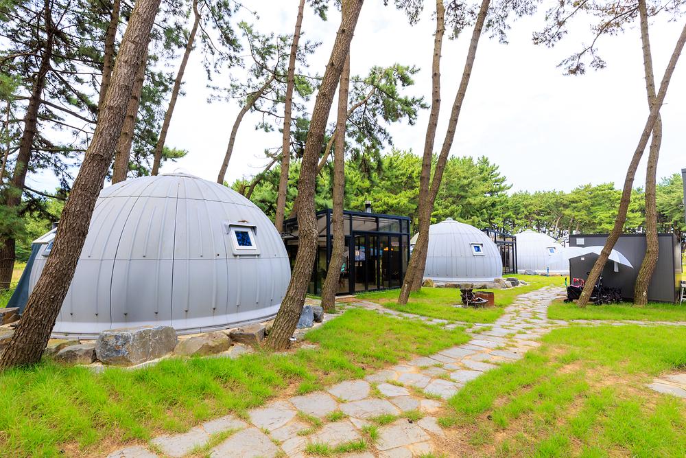 서천 장항글램핑장