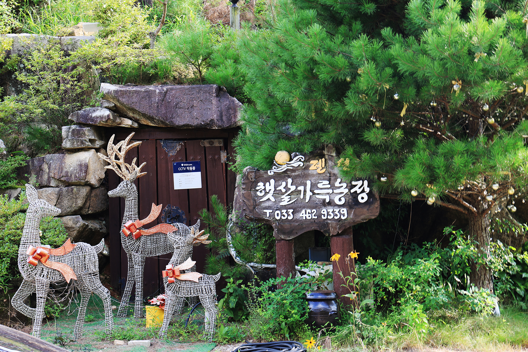 썬캠프
