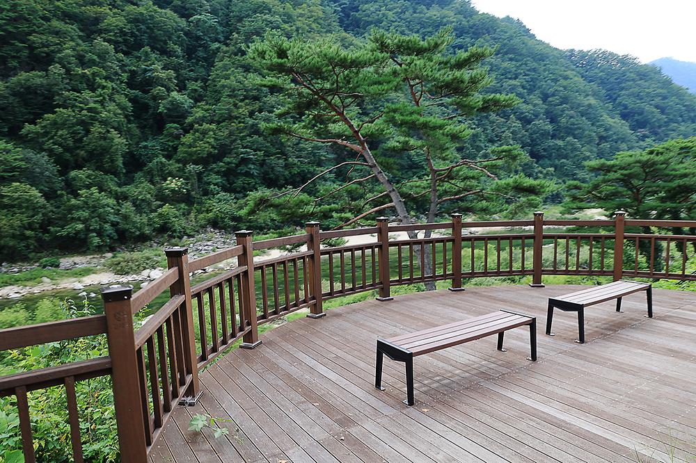 내린천 글램핑