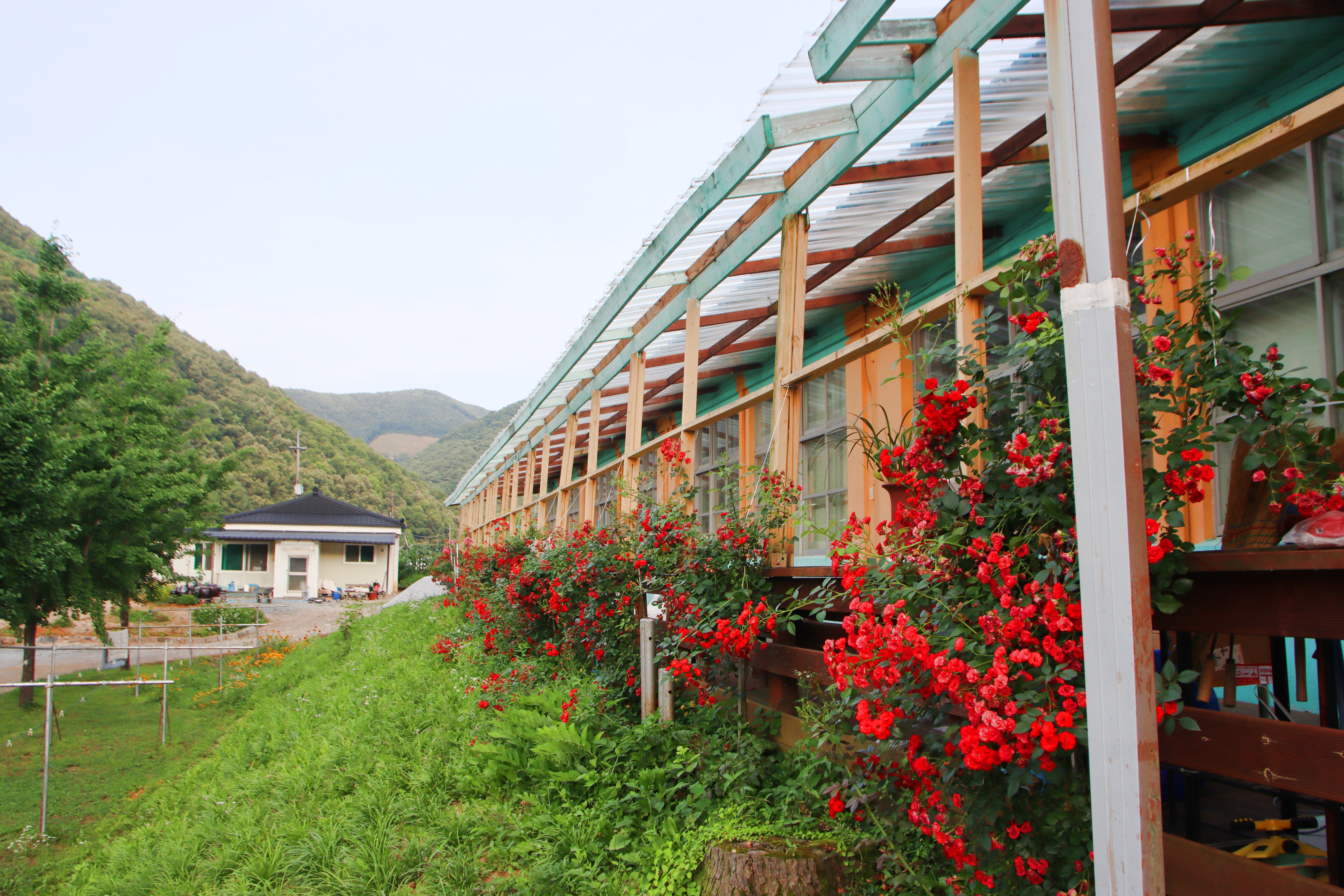 오손도손캠핑장