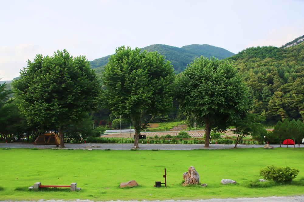 오손도손캠핑장