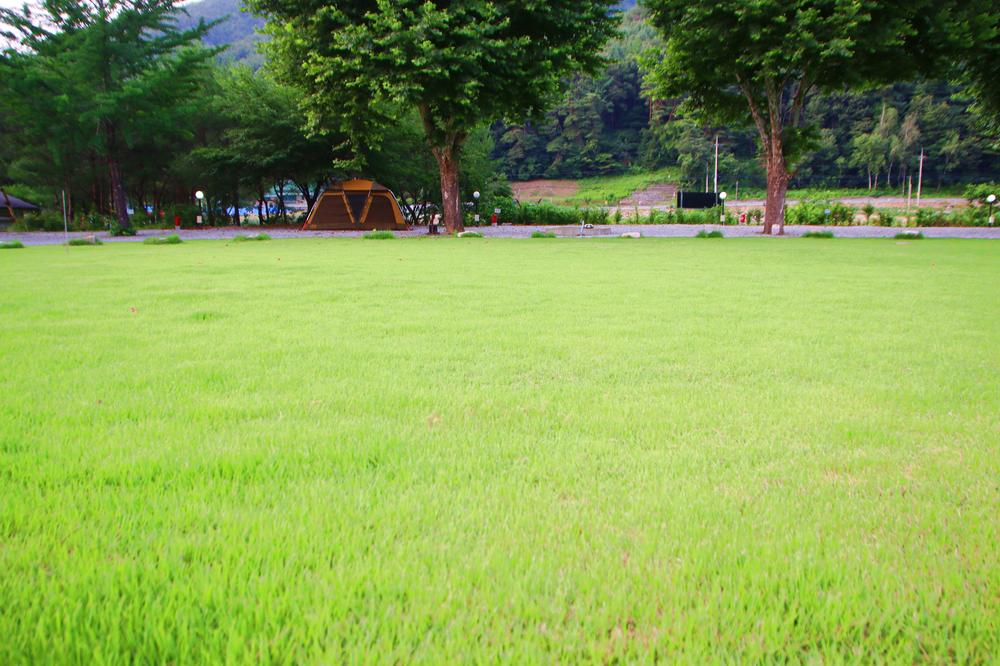 오손도손캠핑장