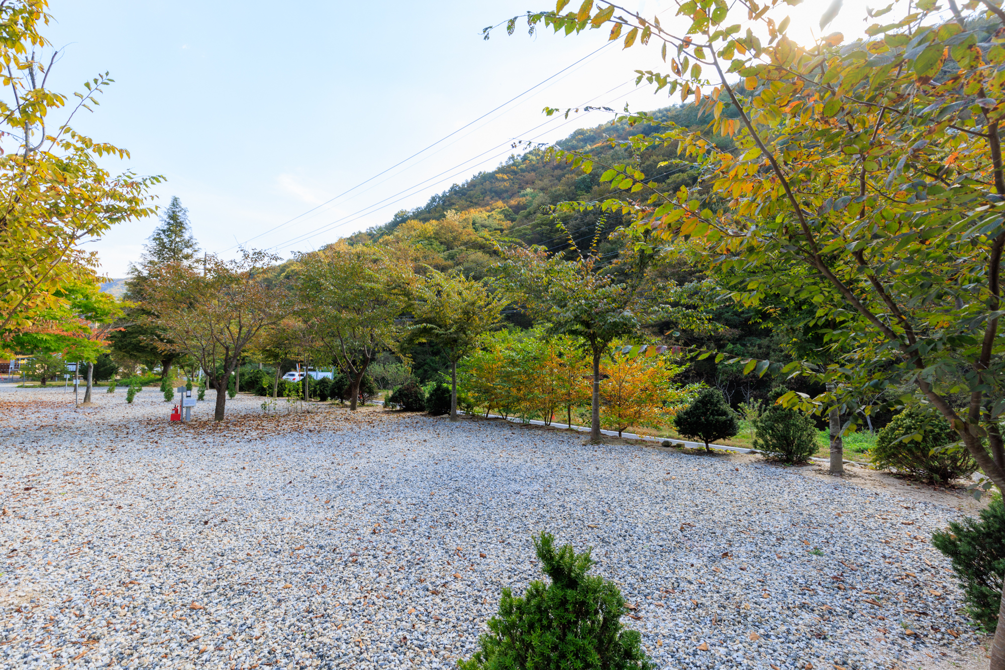 별하숲캠핑장