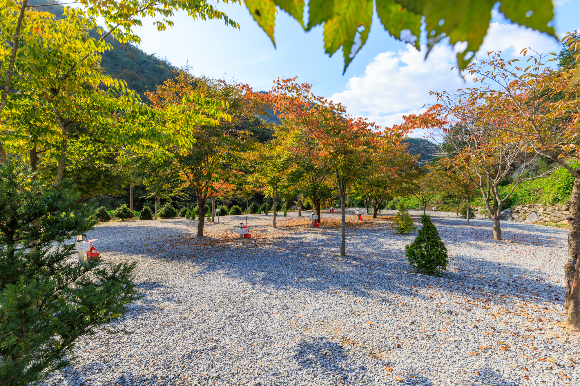 별하숲캠핑장