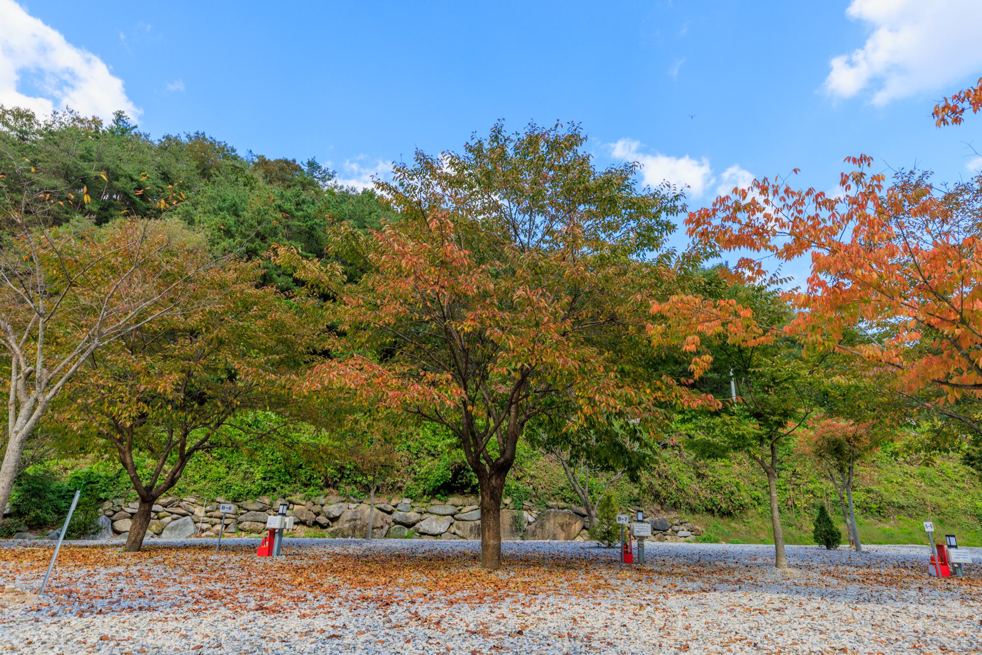 별하숲캠핑장