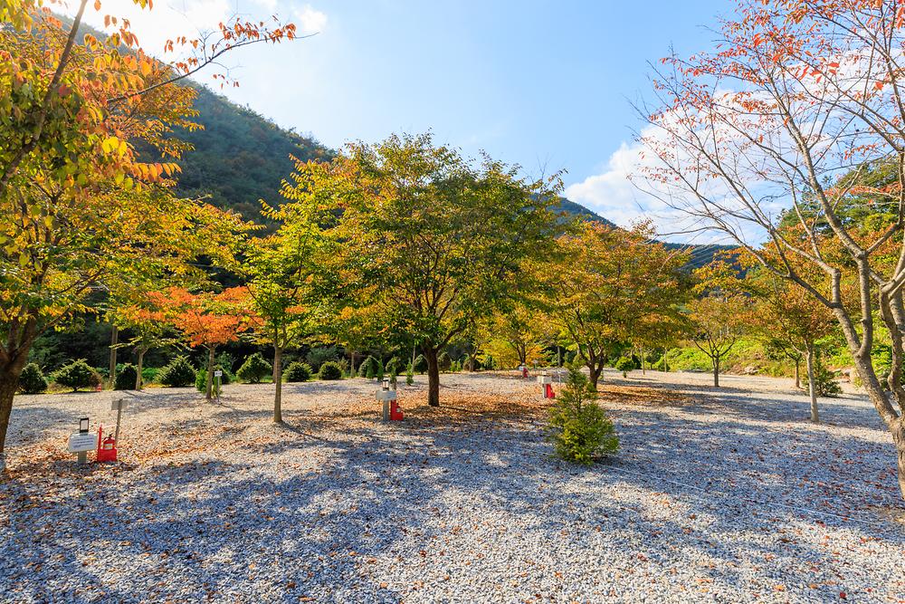 별하숲캠핑장