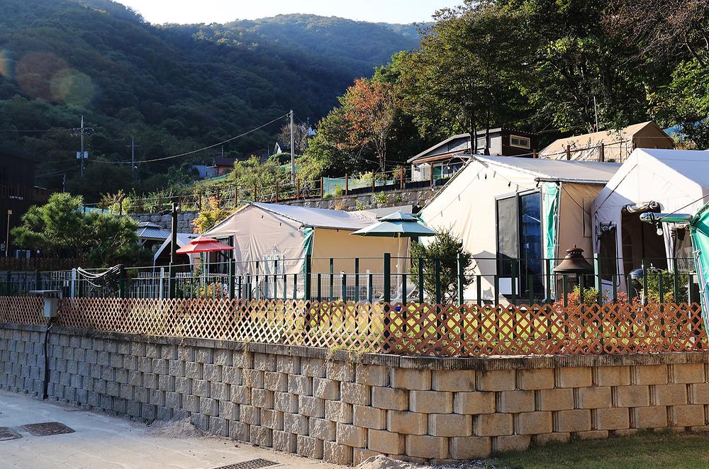 캠프위드펫&애견글램핑