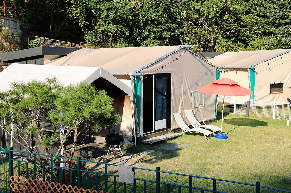 캠프위드펫&애견글램핑