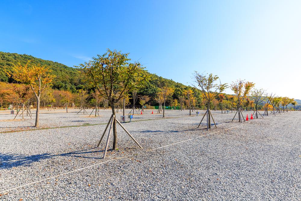 노리터 키즈 캠핑장