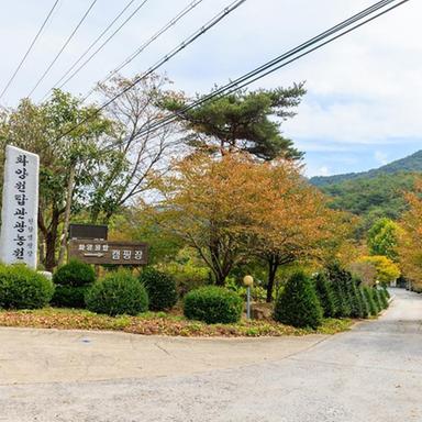 캠핑장소개 이미지