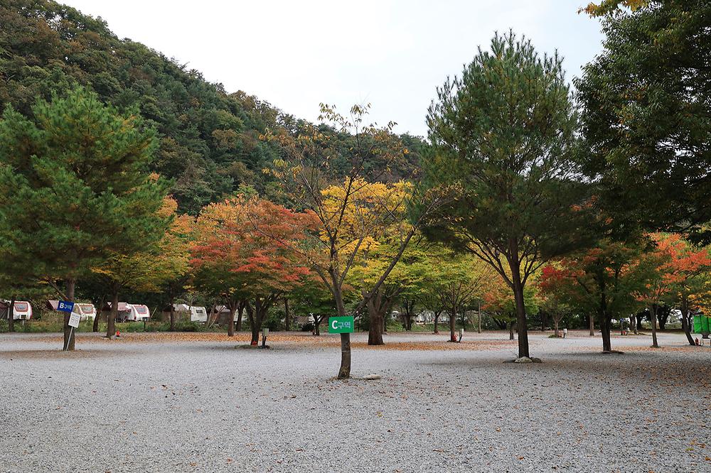 청정 캠핑장