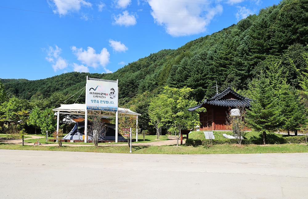 마의태자용소마을캠핑장