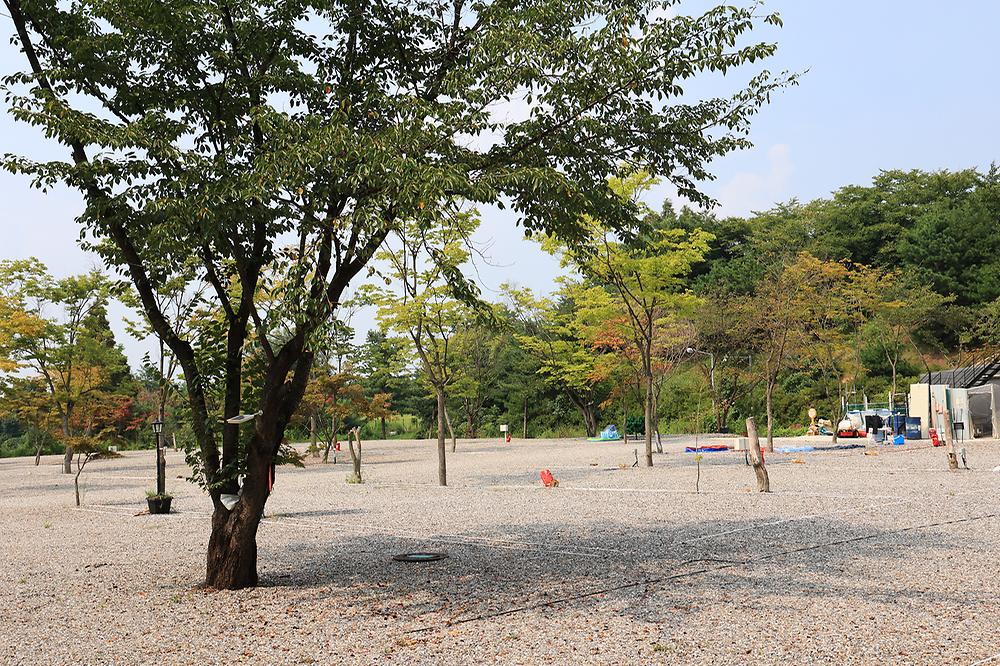 자유로캠핑장