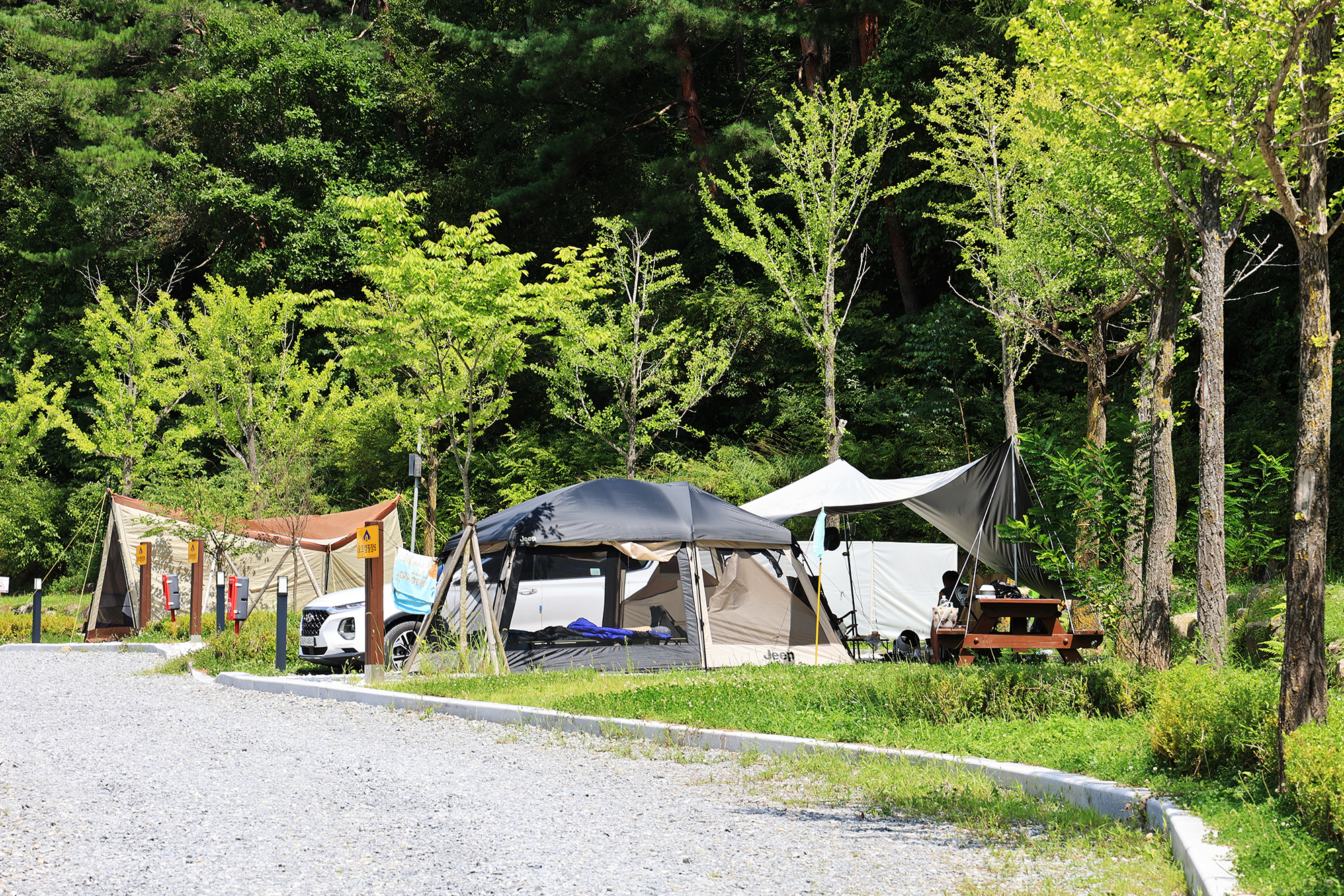 태백고원자연휴양림 자동차야영장