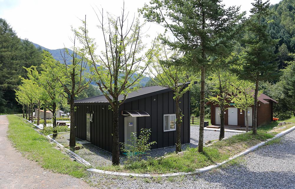 태백고원자연휴양림 자동차야영장