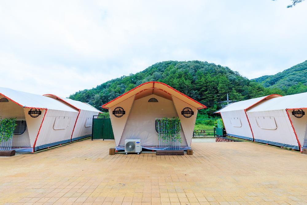 오로라