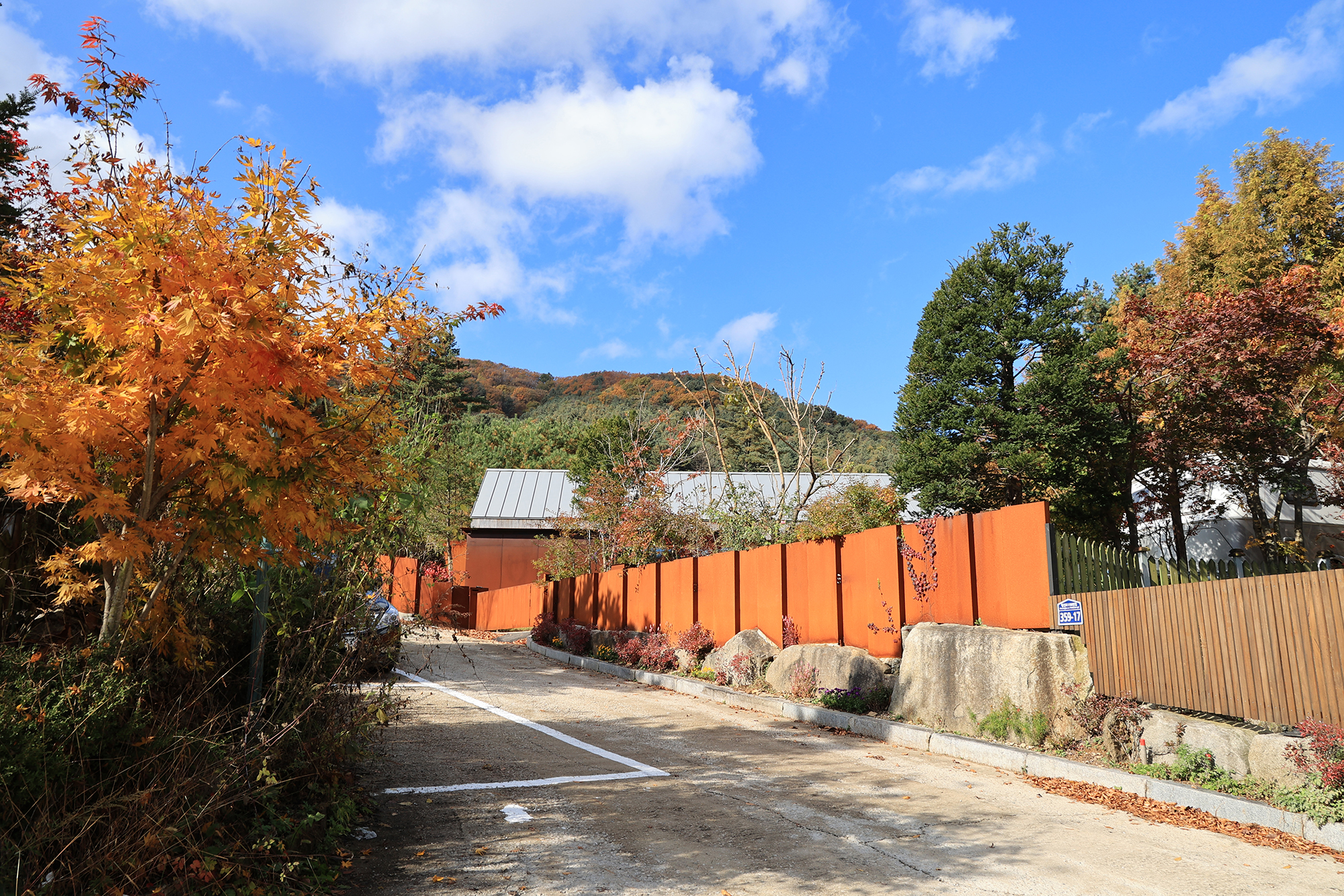 타이니포춘