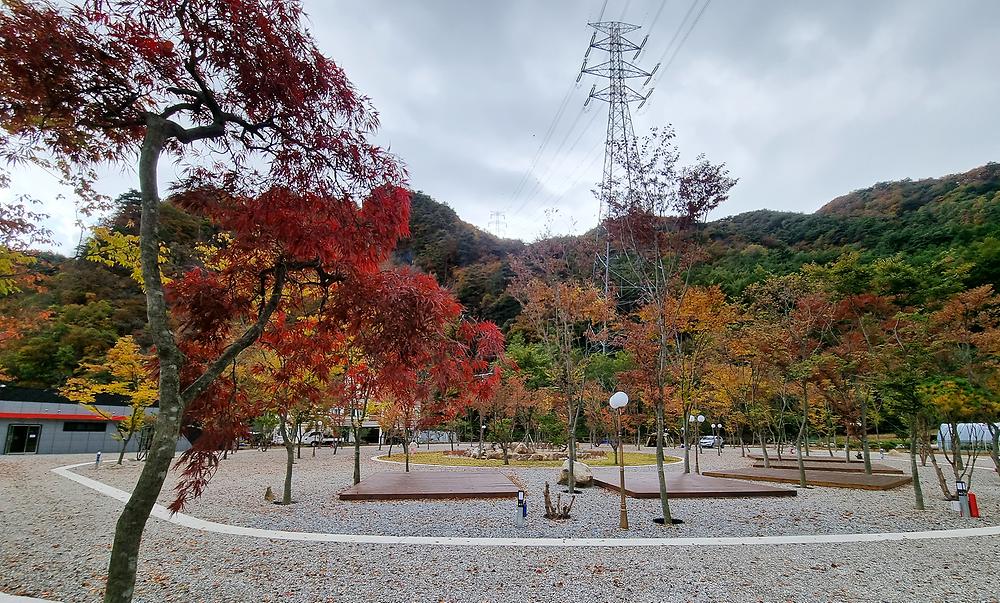 가네골농원