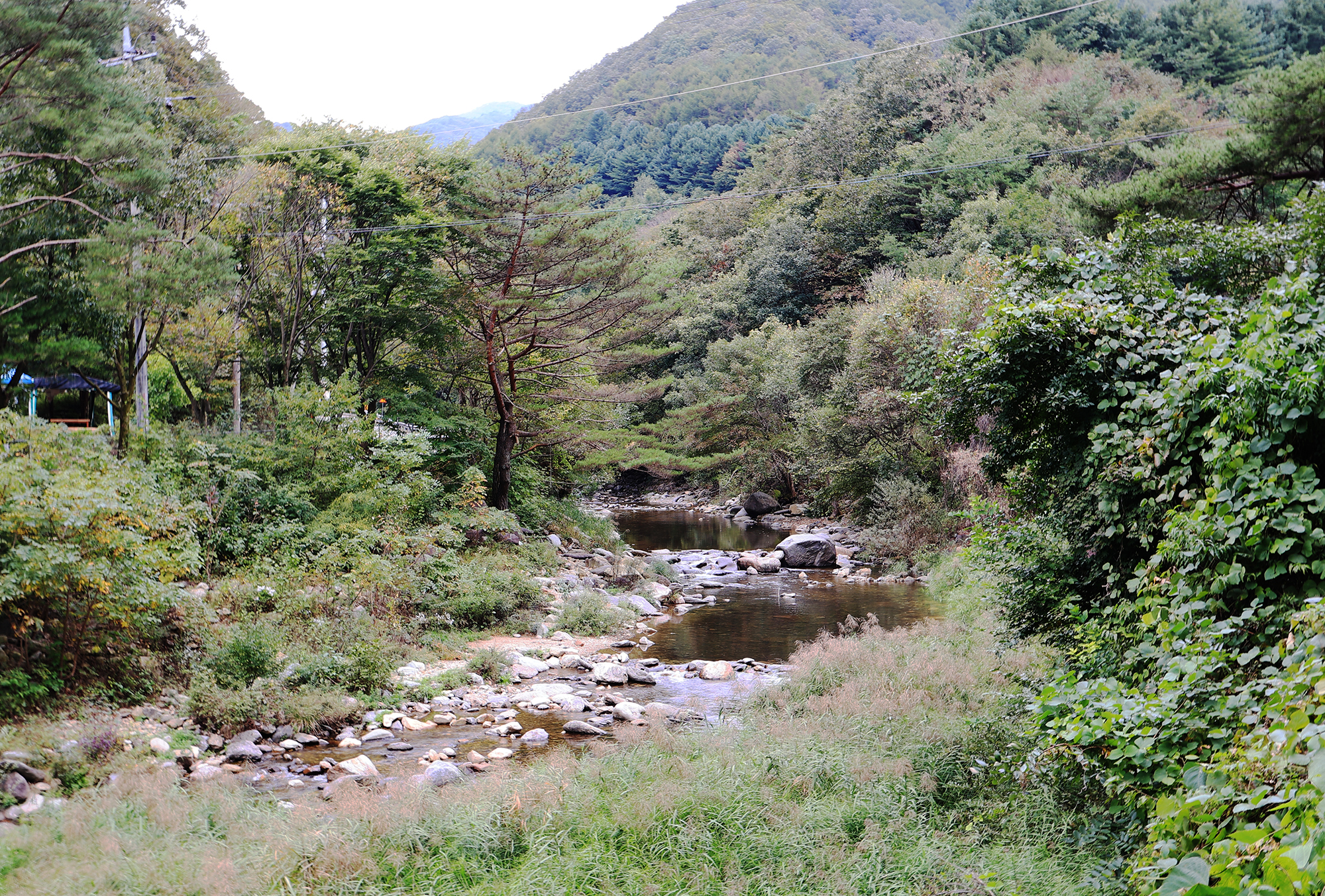 수복캠핑장