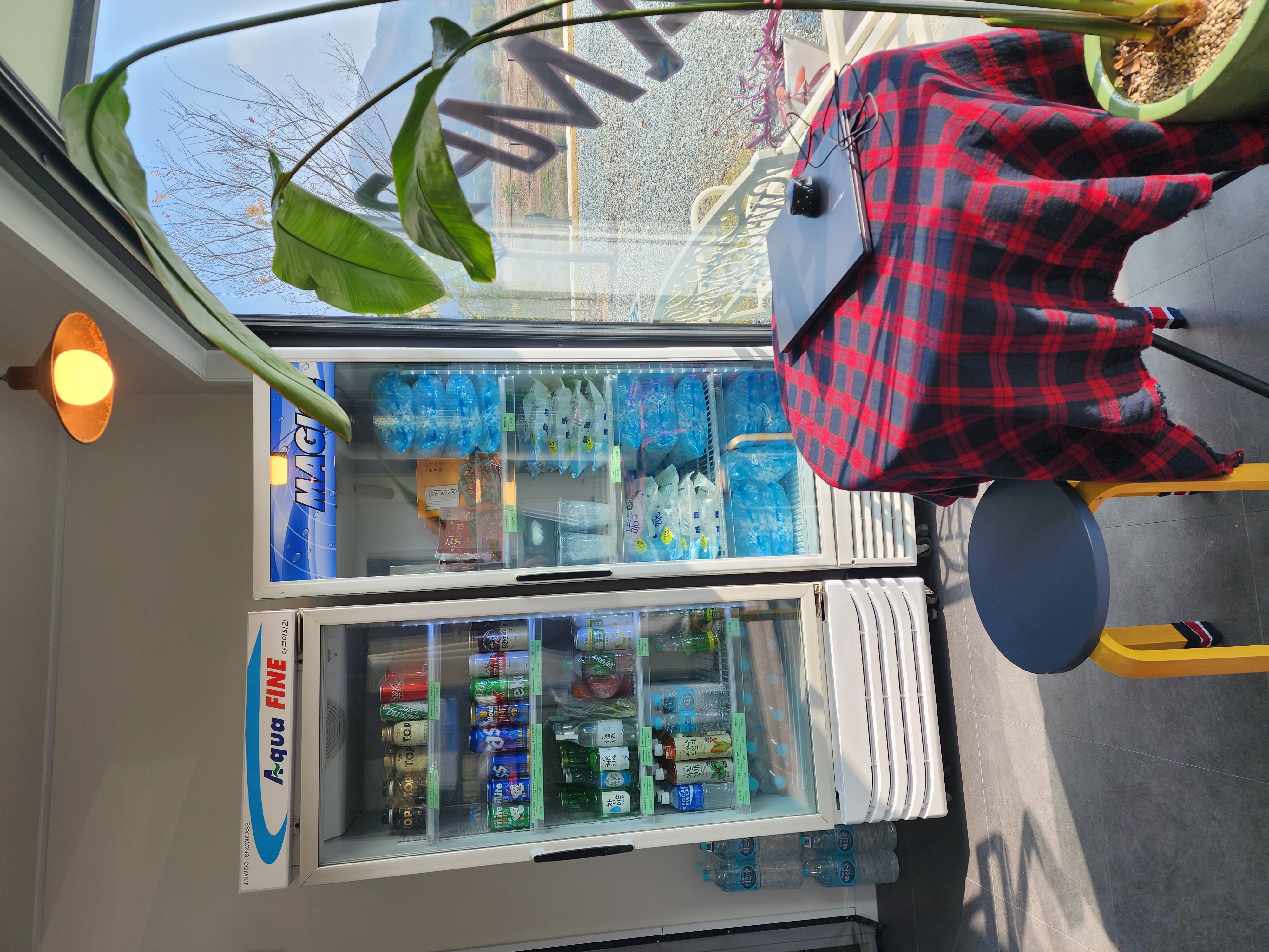 캠프202