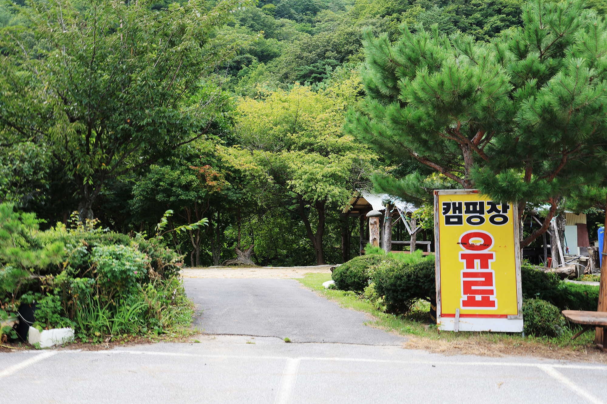 용대 황지 캠핑장