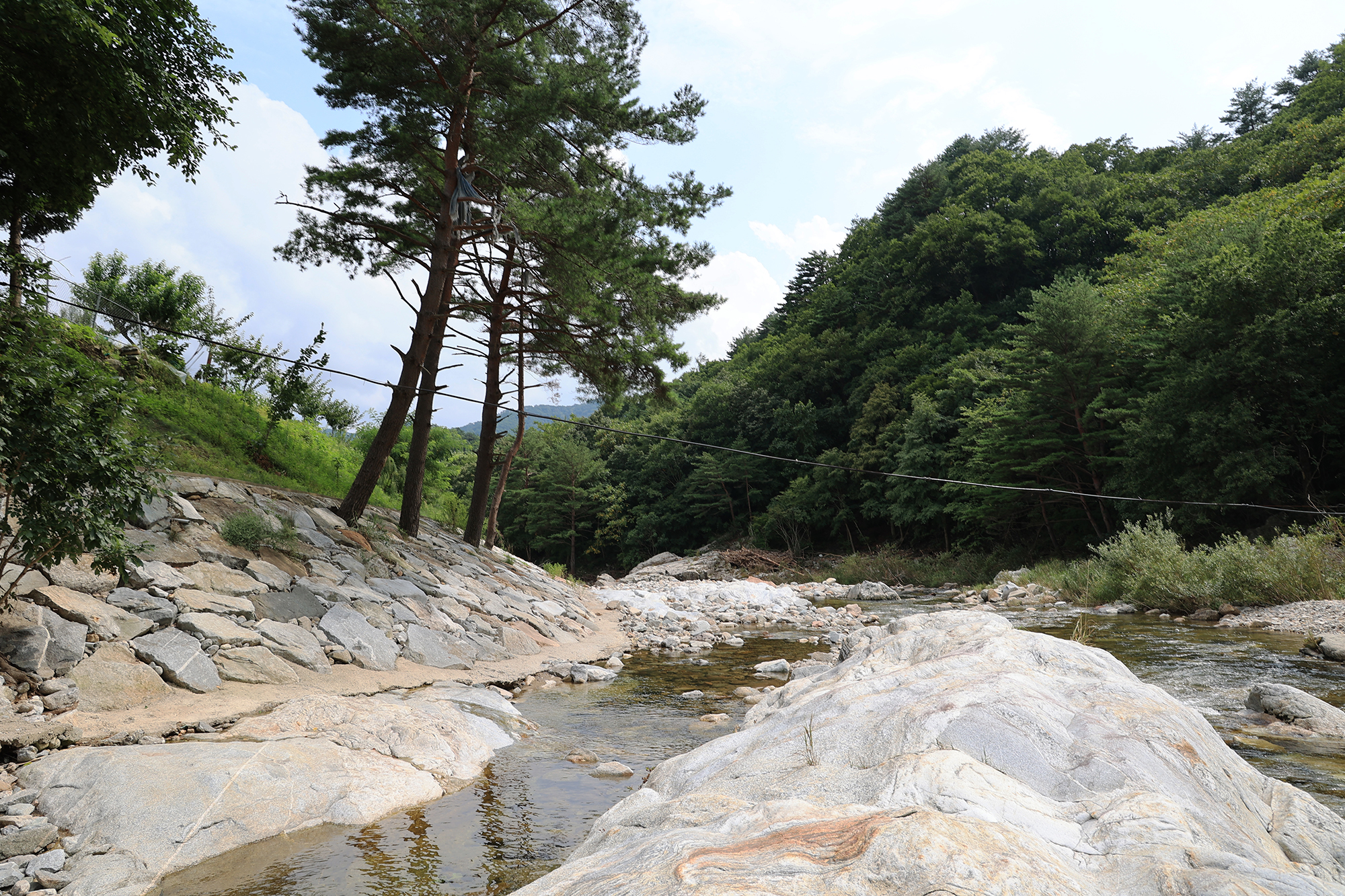 용대 황지 캠핑장