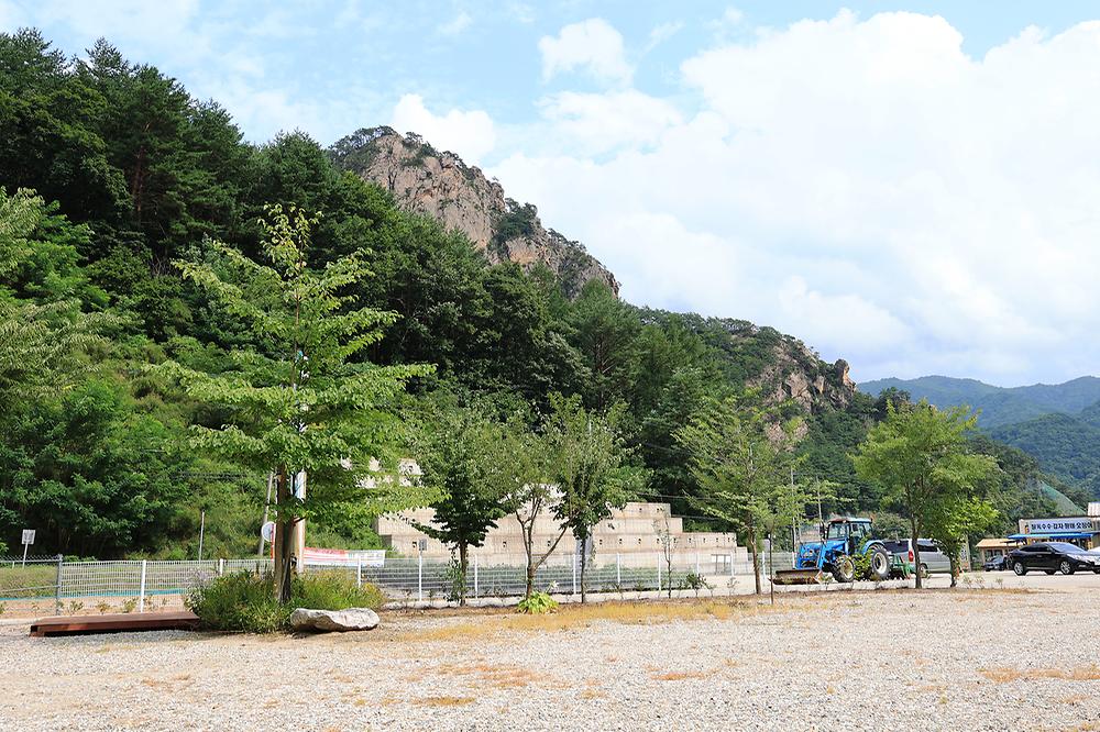 용대 황지 캠핑장