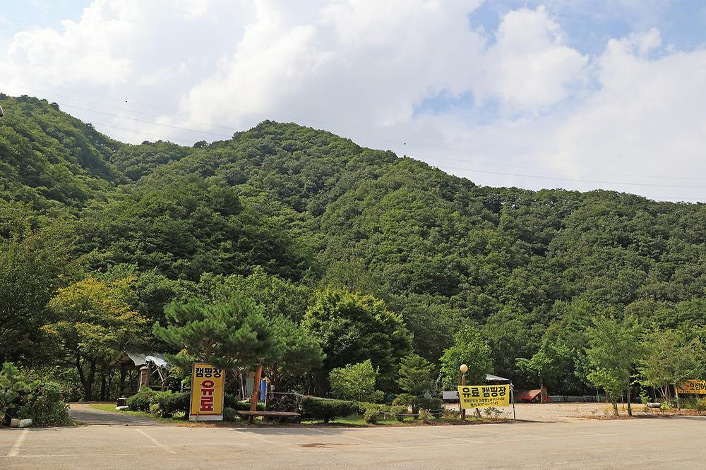 용대 황지 캠핑장
