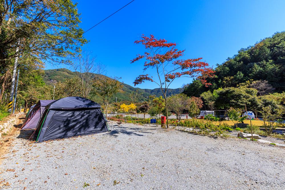 마실야영장