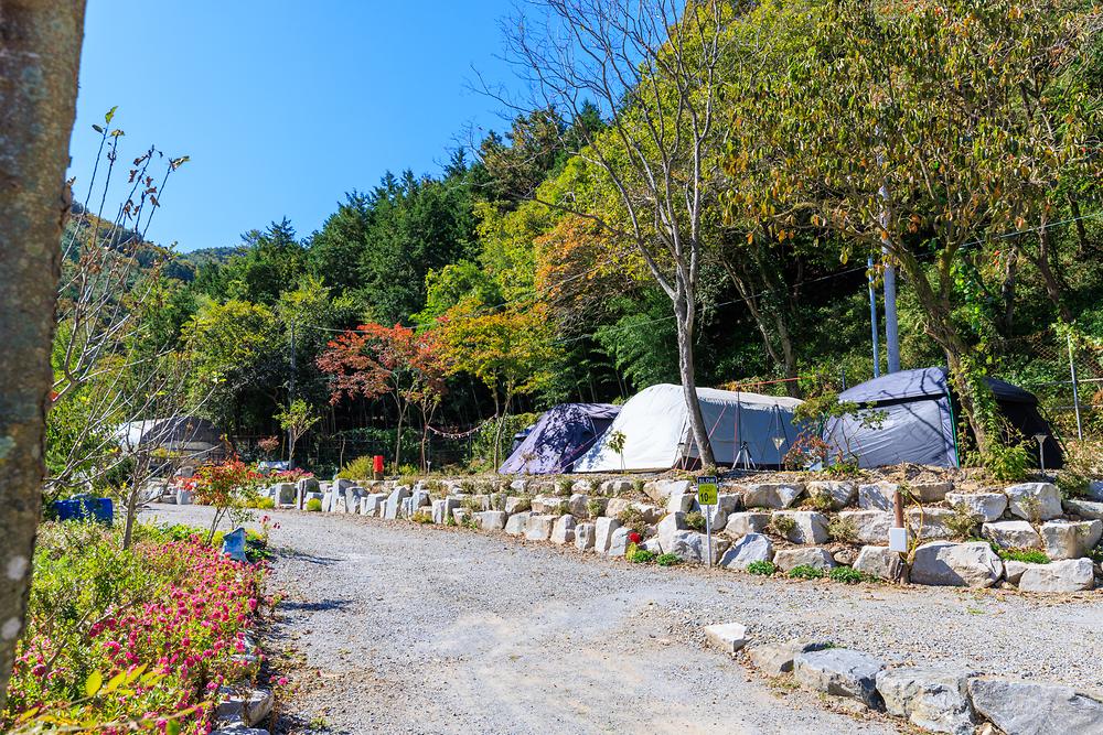 마실야영장