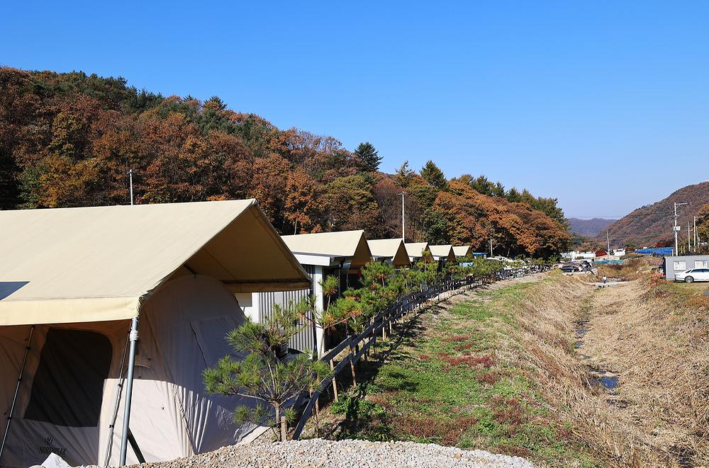 숲속의쉼터 키즈