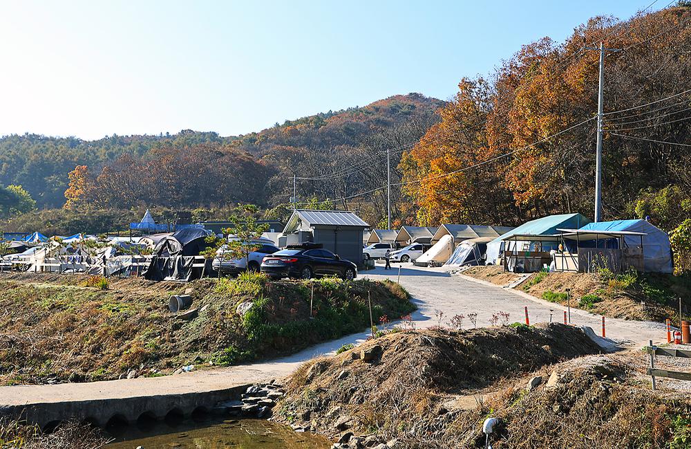 숲속의쉼터 키즈