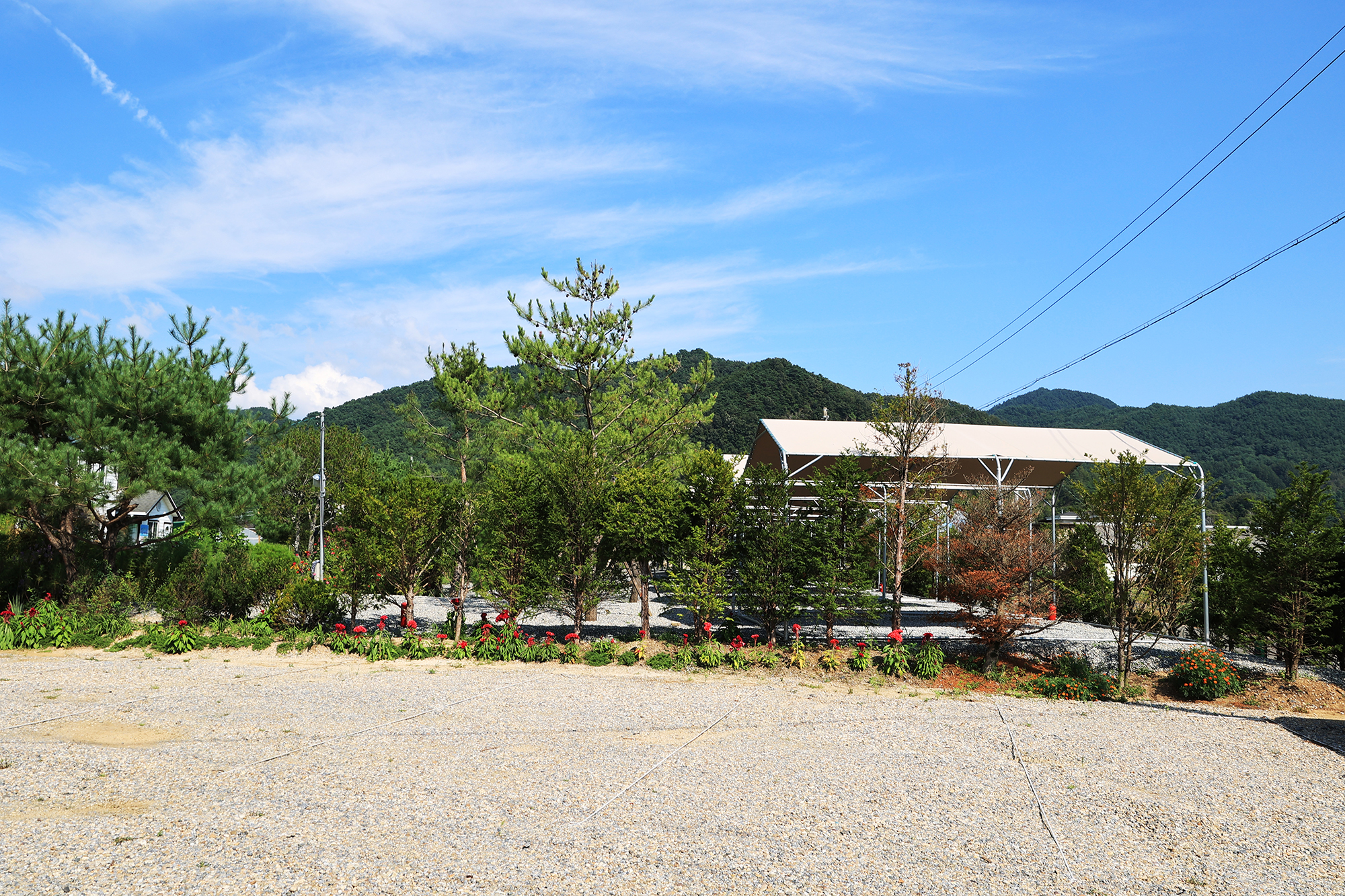 올캠프(ALL camp)