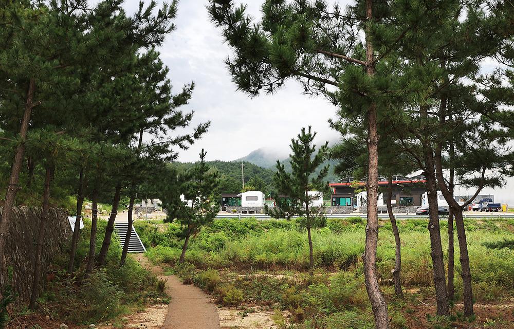 아라캠프