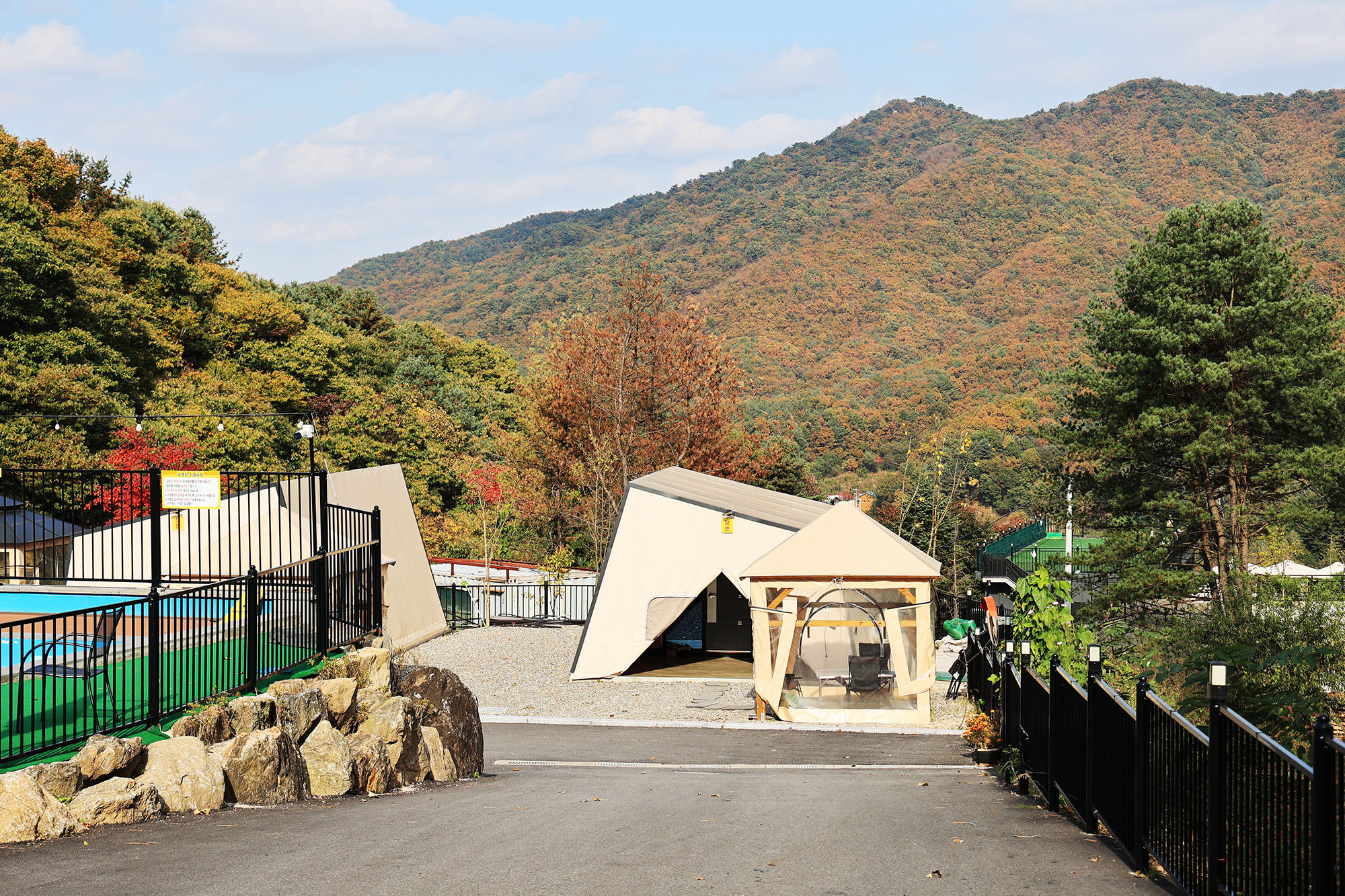 스토리숲(story숲)