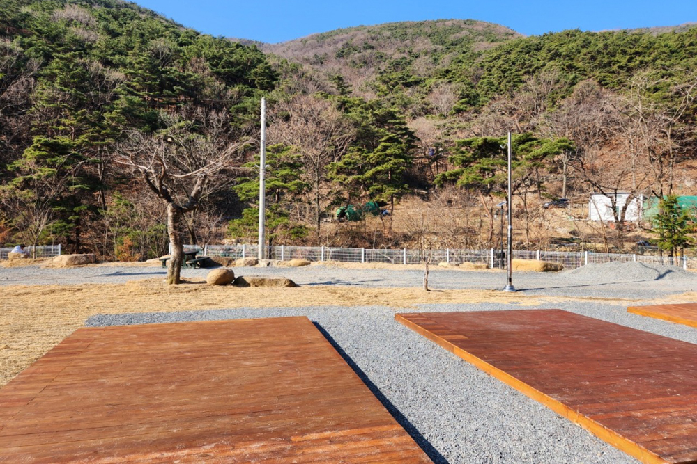 별품은숲속